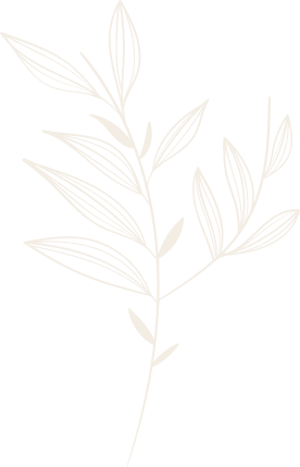 Illustration végétale claire pour décoration graphique