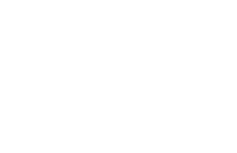 Motif végétal décoratif élégant